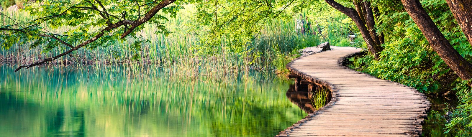 Scenic photo of a lake